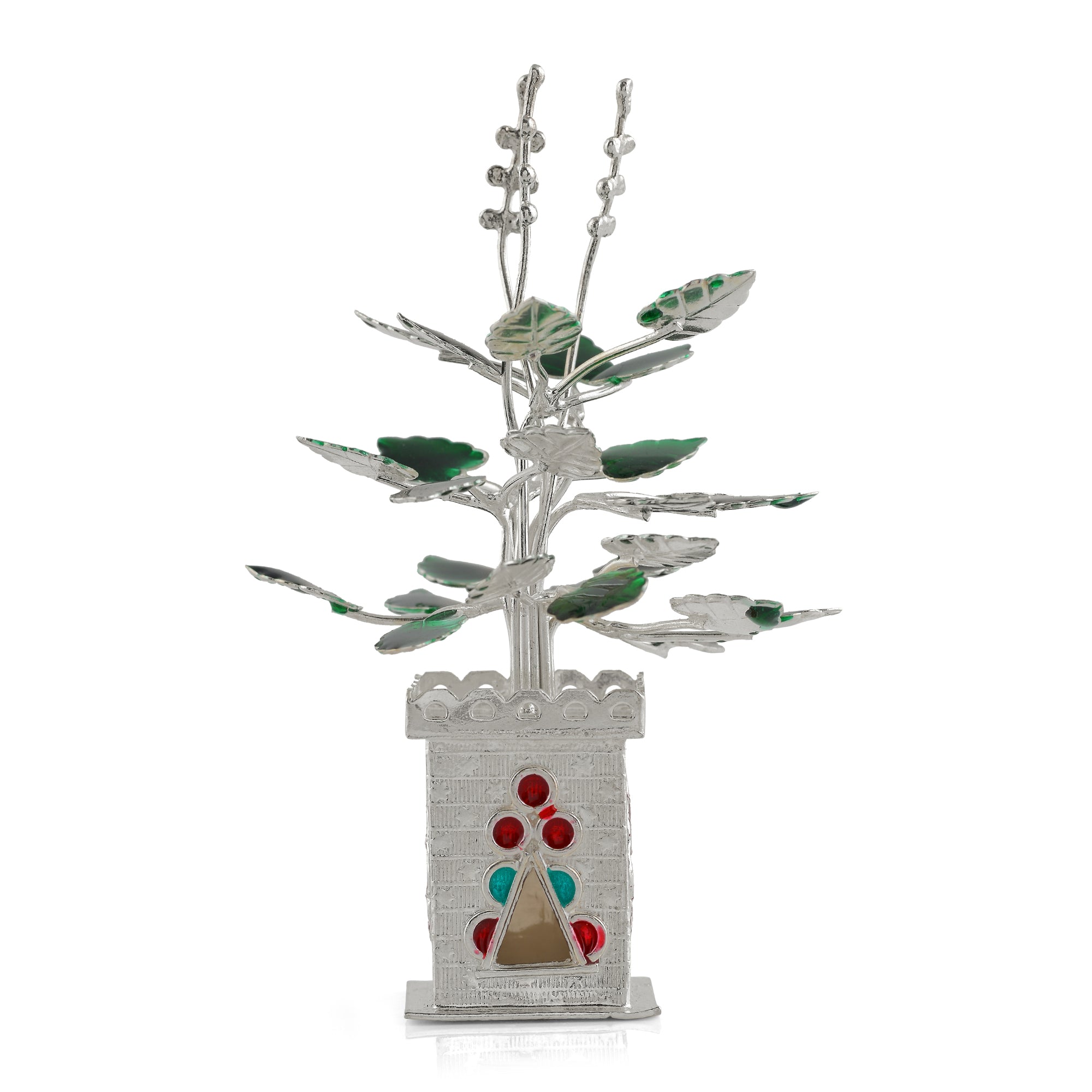 Silver Tulsi Plant