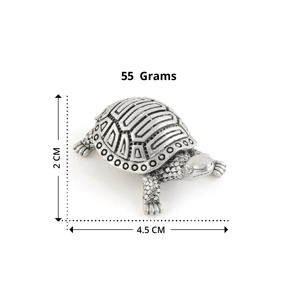 Invite good luck with the silver Tortoise.